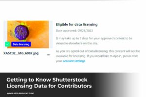 Mengenal Data Licensing Shutterstock untuk Kontributor