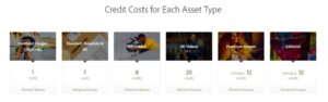 What is Adobe Stock 10 Assets a Month