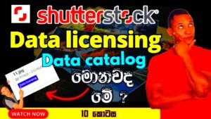 Eligible for Data licensing  Shutterstock Data Catalog  Data License
