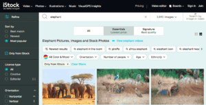 Can I Use This Photo on Social Media Understanding Image Copyright