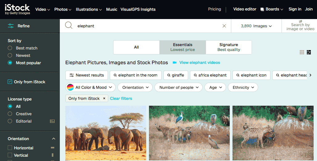 Can I Use This Photo on Social Media Understanding Image Copyright