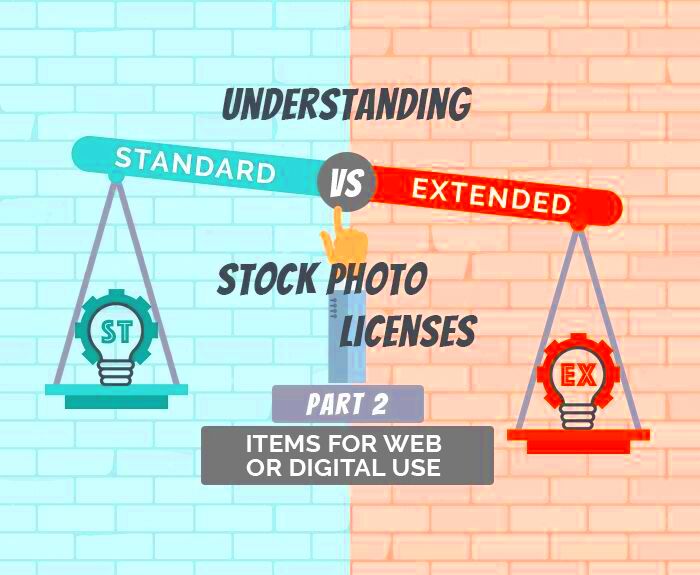 Understanding Standard vs Extended Licenses for Digital Use