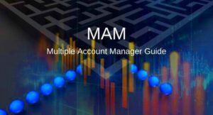 MAM  Multiple Account Manager Guide AvaPartner