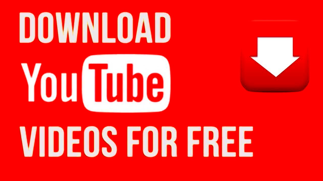 how to download HD videos from YouTube for free  YouTube