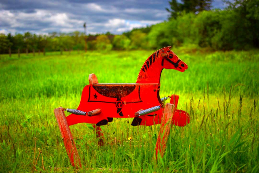 Rocking Horse The Story Behind the Binghamton Rumble Ponies  oggsynccom