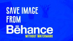 How to Save Image from Behance in High Quality  Download Image from