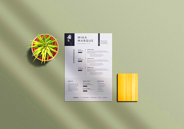 Resume  Behance