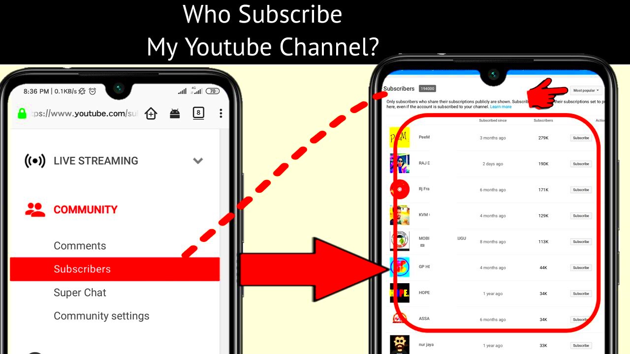 How to See Who Subscribed My Youtube Channel  Who Subscribed My