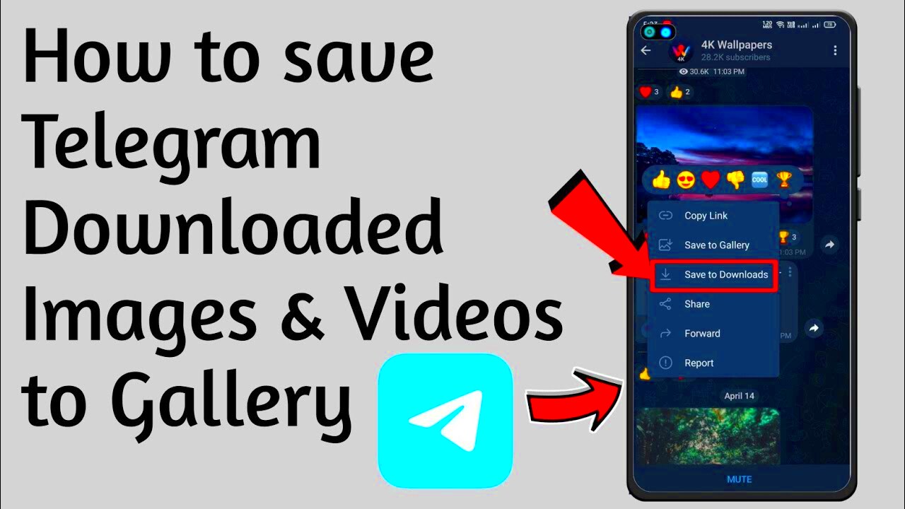 How to save telegram downloaded images  videos to gallery easy  YouTube