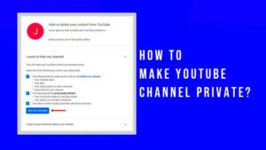 How To Make YouTube Channel Private  Veefly Blog