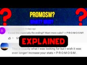 What is PromoSM EXPLAINED  YouTube Comment Bots  YouTube