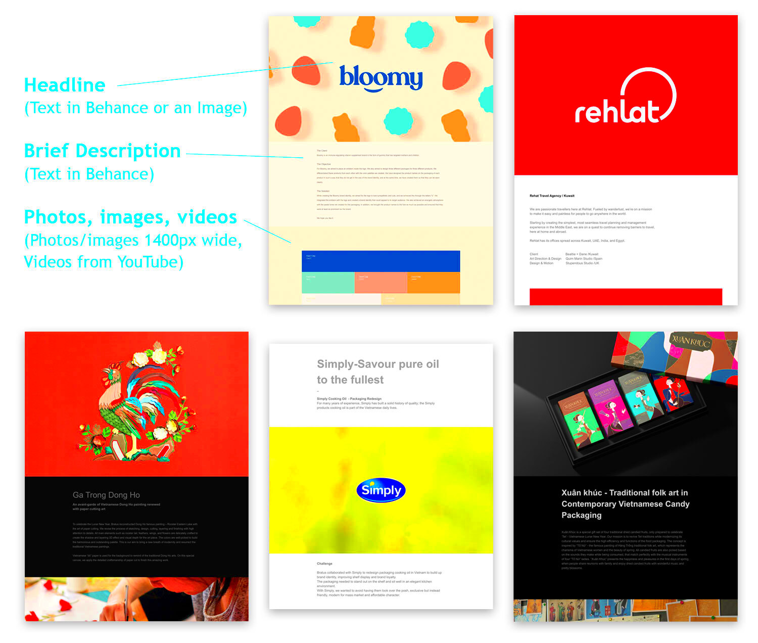 Behance Portfolio  Instructions  Craig Kunce