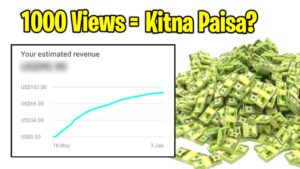 1000 Views  How Many   Youtube Earnings Per View  YouTube