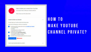 How To Make YouTube Channel Private  Veefly Blog