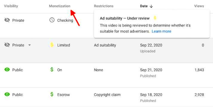 How to Check If Your YouTube Channel Is Monetized Correctly