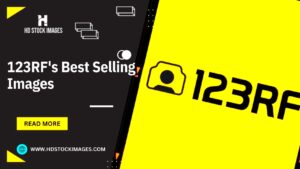 Insights into Popular and Profitable Content 123RFs Best Selling