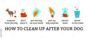 Dog poo clean up steps infographic set Vector poster about hygiene