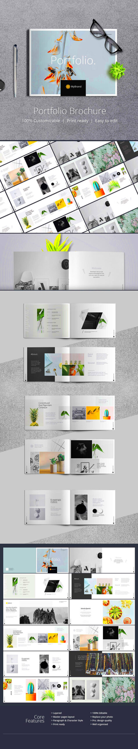 Portfolio Template on Behance