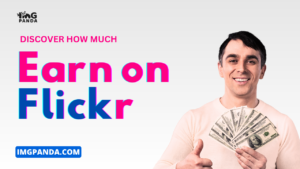 Discover How Much You Can Really Earn on Flickr  IMGPANDA  A Free