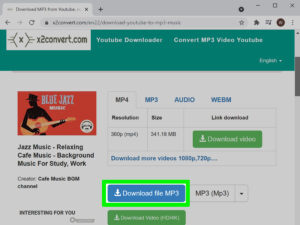 How to Download Audio from YouTube with Pictures  wikiHow