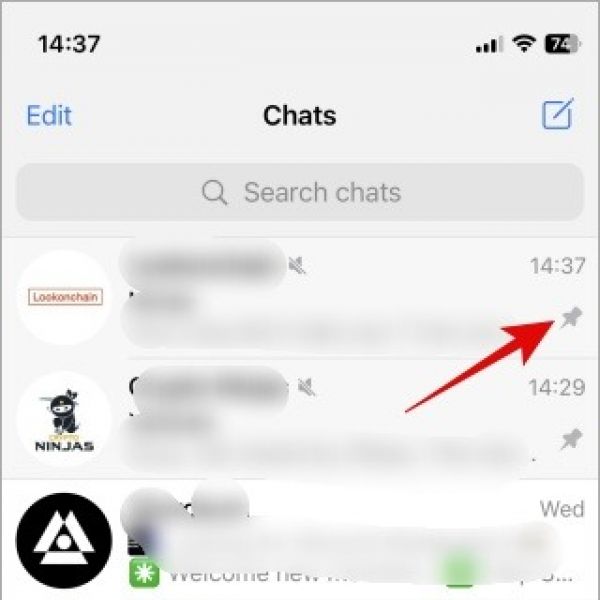 Telegram App Meanings of Symbols logo Telegram Symbol