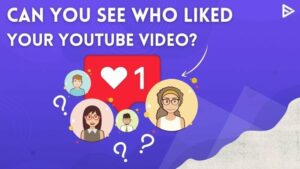 Can You See Who Liked Your YouTube Video  A Perfect Guide