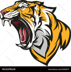 Tiger Vector Image