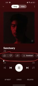 How do I get rid of this part of YouTube Music  rrevancedextended