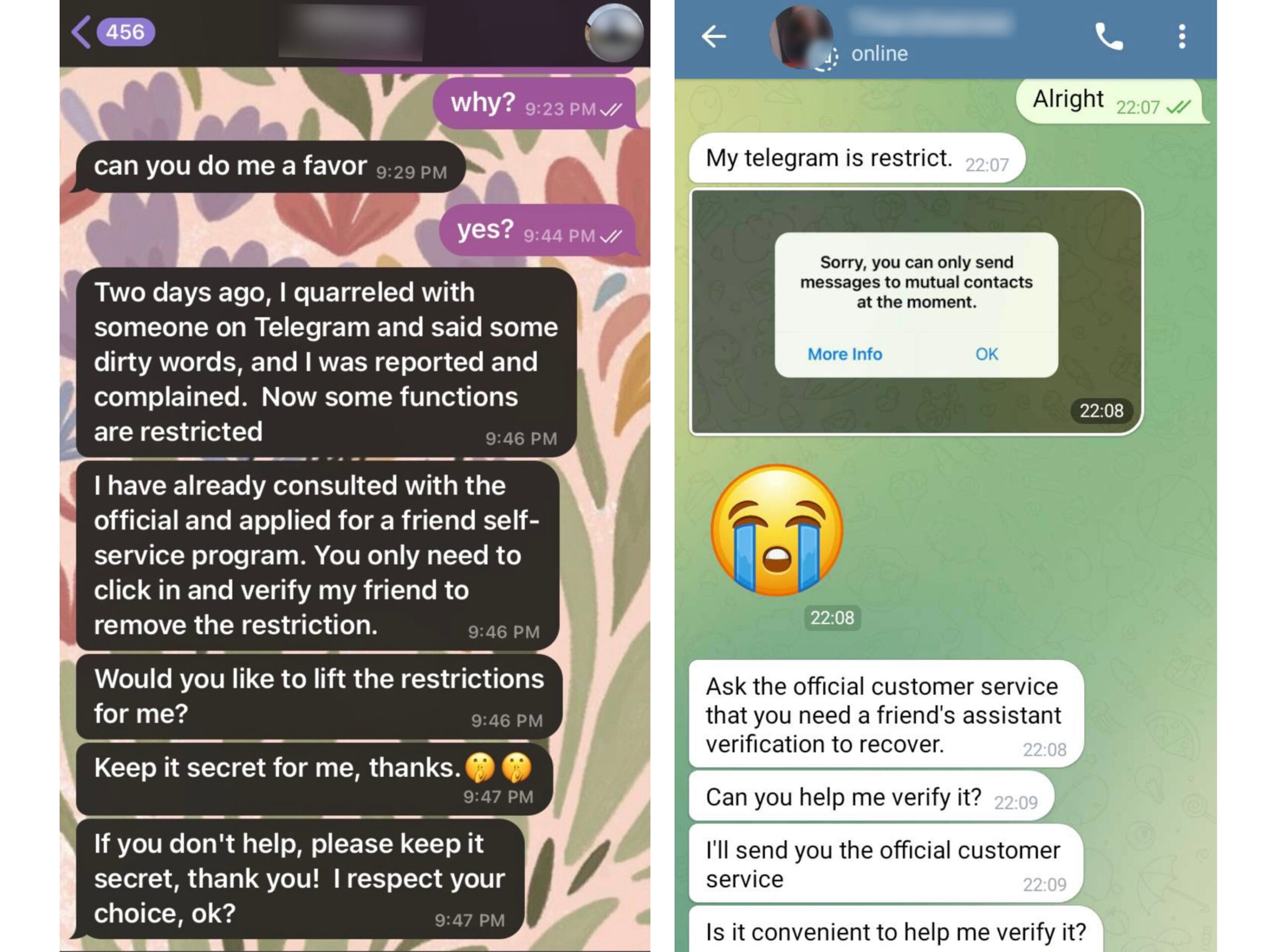 More than 50 people duped by scammers through Telegram this year  The