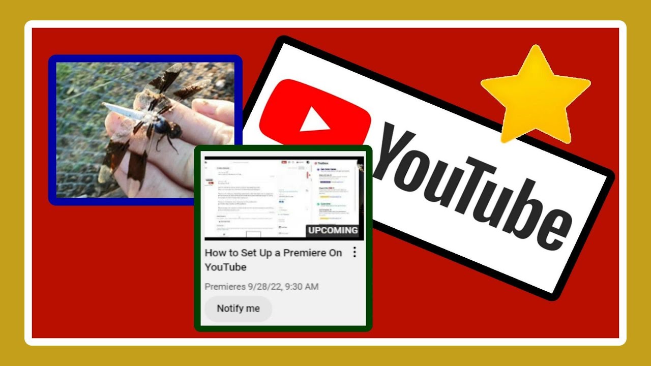 How to Set Up a Premiere On YouTube  YouTube