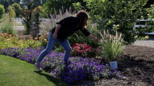 Planting 3 Beautiful Varieties of Ornamental Grass   Garden