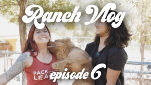 Ranch Vlog 6  YouTube