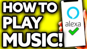 How To Play Music in All Alexa Devices Very EASY  YouTube